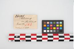 Etikett zu Bronzemehrkopfnadel (NHMW-PRAE-026207)